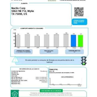 Colombia ENEL energy business utility bill template in Word and pdf formats download template file