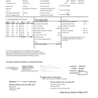 Columbia Gas of Ohio utility business bill, SCR download template file