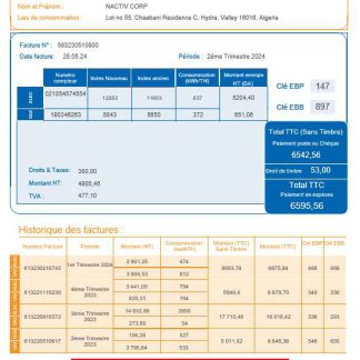 Algeria Societe Algerien Distribution internet business utility bill Word and PDF template download template file