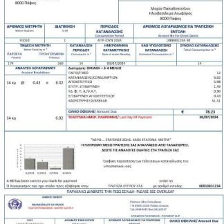 Cyprus water business utility bill template in Word and PDF formats download template file