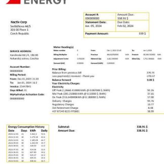 Czech Republic Photon Energy business utility bill template in Word and pdf formats download template file