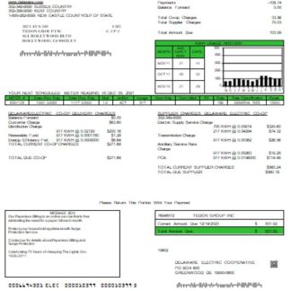 Delaware Electric Co op utility business bill, SCR download template file