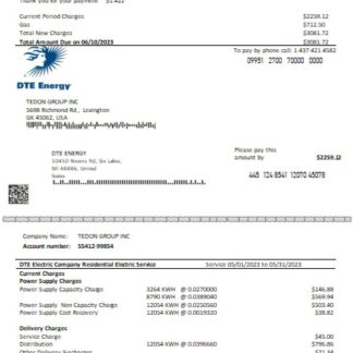 DTE Energy utility business bill SCR page 1 download template file
