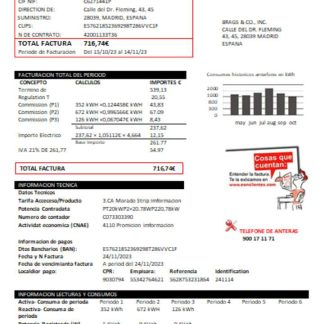 E.ON Spain electricity utility business bill, SCR download template file