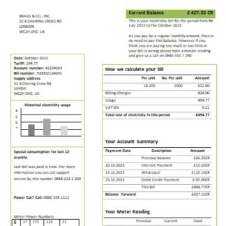 Ecotricity electricity utility business bill, SCR download template file
