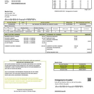 Ecuador Energysource Ecuador energy business utility bill template (2) download template file