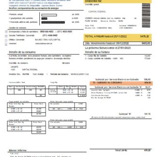 Edenor easy to fill utility business bill SCR download template file