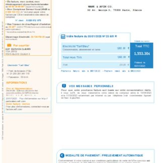 EDF France Electricity utility business bill SCR download template file