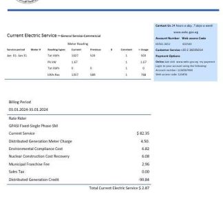 Egypt Egyptian Electricity business utility bill template in Word and pdf formats download template file