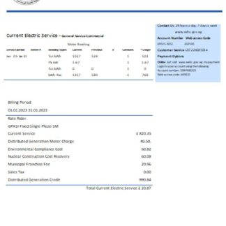 Egyptian Electricity utility business bill, SCR download template file