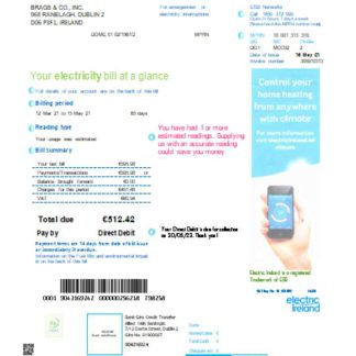 Electric Ireland utility business bill SCR download template file