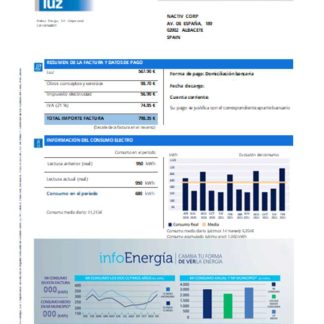 Endesa luz utility business bill SCR download template file