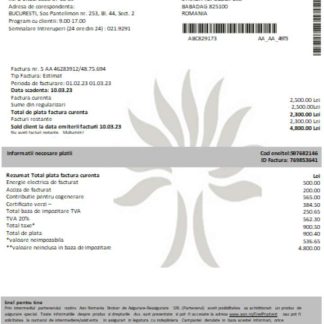 Enel electricity proof of address utility business bill SCR download template file