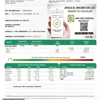 Federal Electricity Commission (CFE) utility bill SCR page 1 download template file