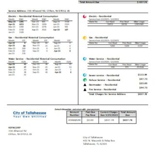 Florida City of Tallahassee Florida Your Own Utilities business bill, SCR download template file