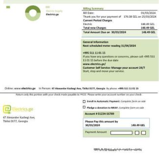 Georgia Electrics.ge electricity business bill template in Word and PDF formats1 download template file