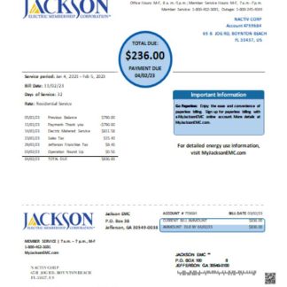 Georgia JACKSON EMC utility business bill, page 1 SCR download template file