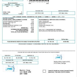 Georgia RWC water business bill template in Word and PDF formats1 download template file