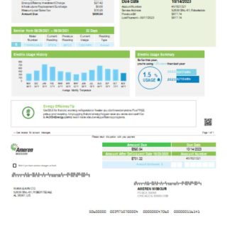 Ameren Missouri electricity utility business bill, page 1, SCR download template file