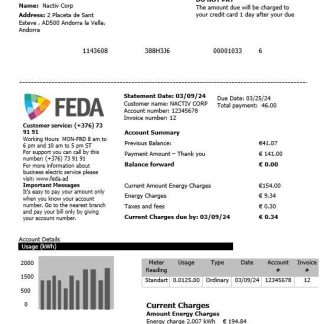 Andorra Electric Forces of Andorra business utility bill template in Word and PDF formats download template file