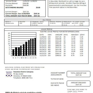Hawaiian Electric utility business bill, SCR download template file