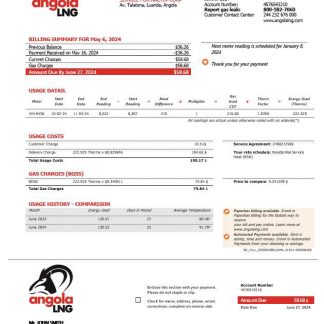Angola LNG proof of address business utility bill template in Word and PDF format download template file