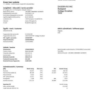 Hungary E2 business utility bill template in Word and PDF formats download template file