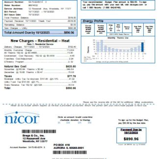 Illinois Nicor gas business utility bill SCR download template file