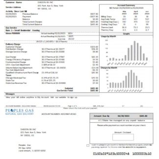 Illinois Peoples Gas utility business bill SCR download template file