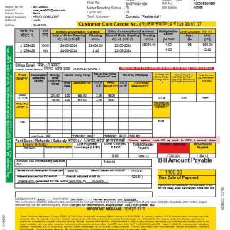India Bses electricity business utility bill Word and PDF template trang download template file