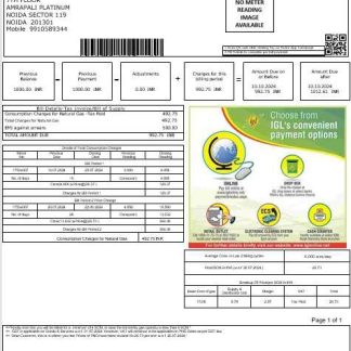 India IGL business utility bill Word and PDF template download template file