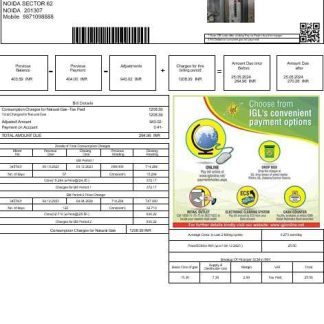 India INDRAPRASTHA GAS LIMITED business utility bill template in Word and PDF formats download template file
