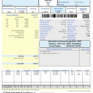 India Kota electricity business utility bill Word and PDF template download template file
