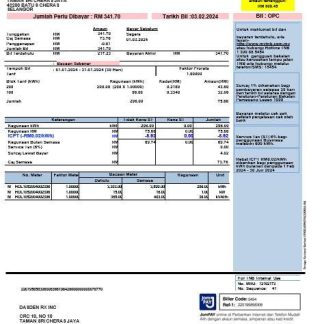 INDIA TENAGA NASIONAL business utility bill Word and PDF template download template file