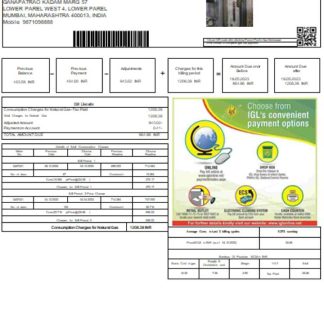 Indraprastha Gas Limited (IGL)utility business bill, SCR download template file