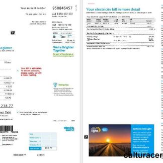 Ireland Electric Ireland business utility bill template in Word and PDF formats, 2 pages download template file