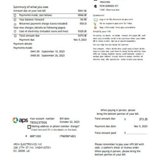 Arizona APS electricity proof of address utility business bill SCR download template file