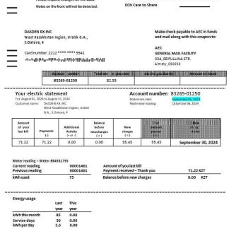 Kazakhstan Alliance Energy Company (AEC) business utility bill Word and PDF template download template file