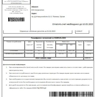 KazTransGas utility business bill, SSCR download template file