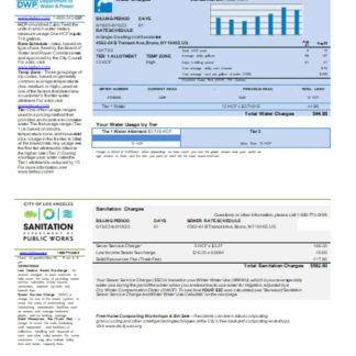 LA DWP utility business bill, SCR download template file
