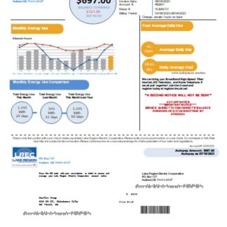 Lake Region Electric Cooperative utility business bill, SCR download template file