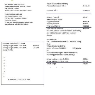 Laos Electricite du Laos electricity business utility bill template in Word and PDF formats download template file