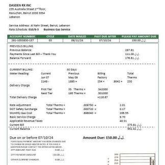 Lebanon Electricity of Lebanon business utility bill template in Word and PDF formats download template file