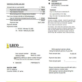 LECO Corporation electricity business bill, SCR download template file