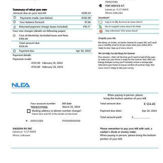 Lithuania National Lithuanian Energy Association business utility bill Word and PDF template download template file