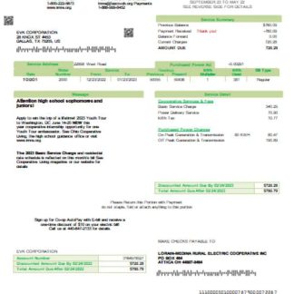 Lorain Medina Rural Electric utility business bill, SCR download template file