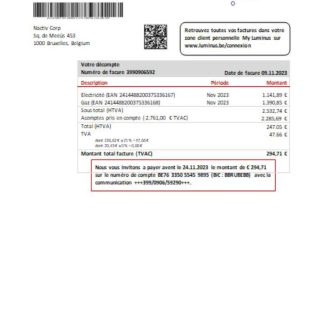 Luminus utility business bill, SCR download template file