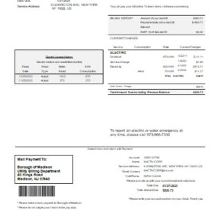 Madison Electric Department utility business bill, SCR download template file