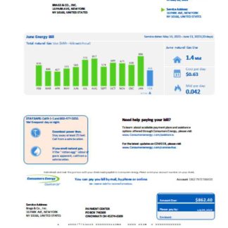 Michigan Consumers Energy business utility bill, Word and PDF template SCR download template file