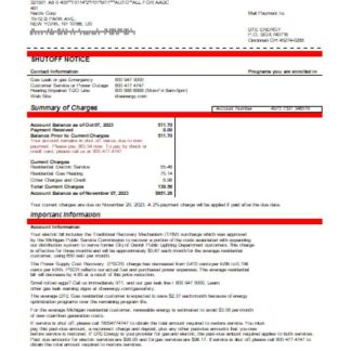 Michigan DTE Energy utility business bill, Word and PDF template SCR download template file